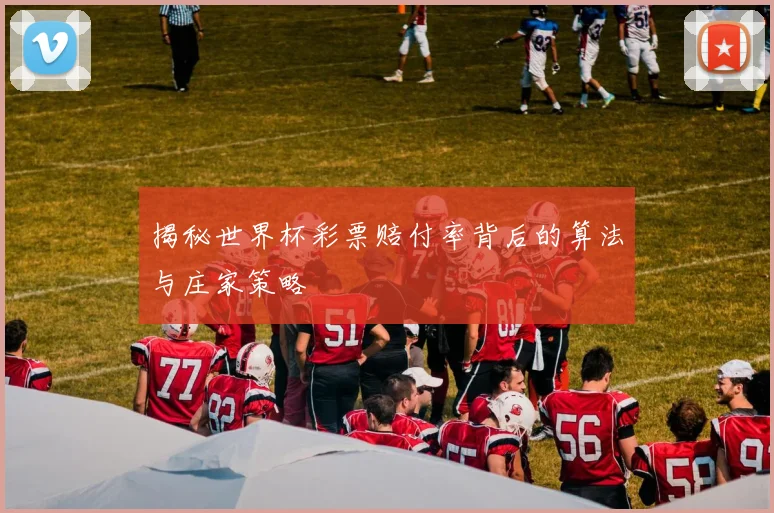 揭秘世界杯彩票赔付率背后的算法与庄家策略