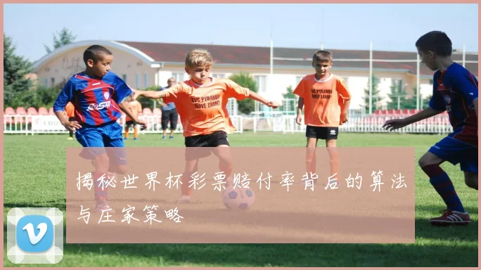 揭秘世界杯彩票赔付率背后的算法与庄家策略