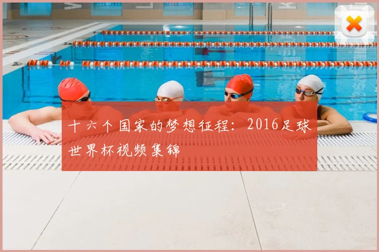 十六个国家的梦想征程：2016足球世界杯视频集锦