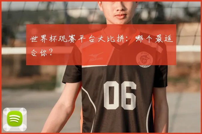 世界杯观赛平台大比拼：哪个最适合你？