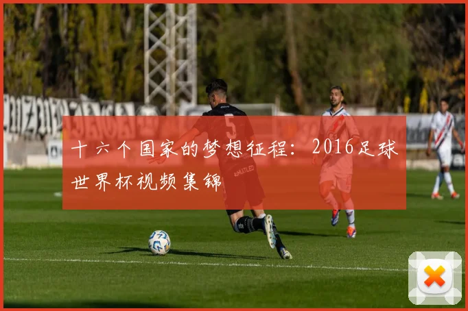 十六个国家的梦想征程：2016足球世界杯视频集锦