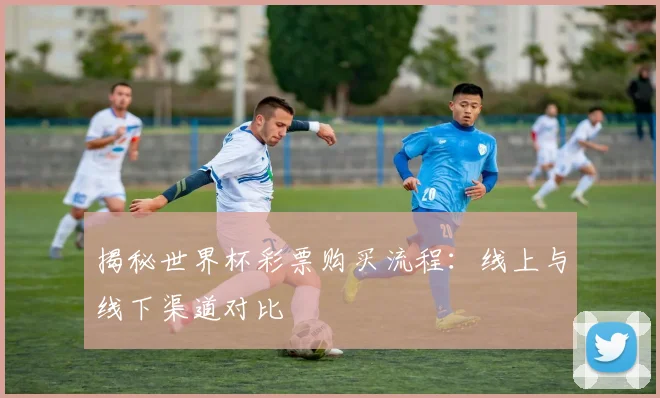 揭秘世界杯彩票购买流程：线上与线下渠道对比