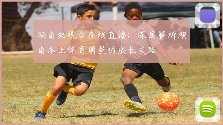 湖南经视台在线直播：深度解析湖南本土体育明星的成长之路