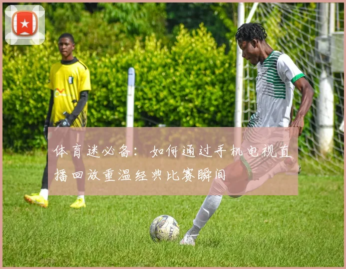 体育迷必备：如何通过手机电视直播回放重温经典比赛瞬间