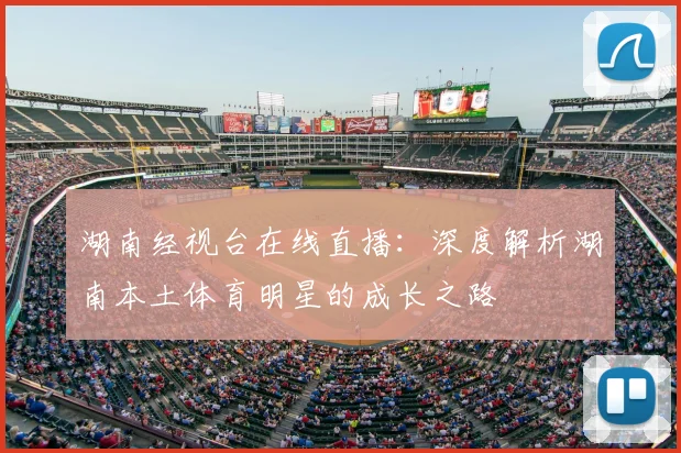 湖南经视台在线直播：深度解析湖南本土体育明星的成长之路